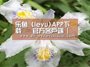产品名称二