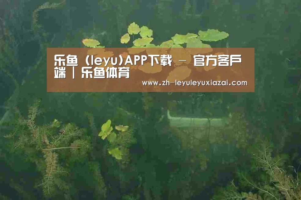 案例展示三