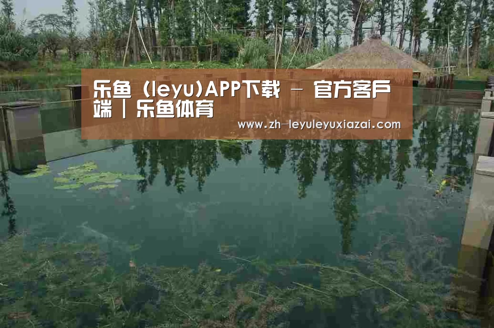 案例展示二