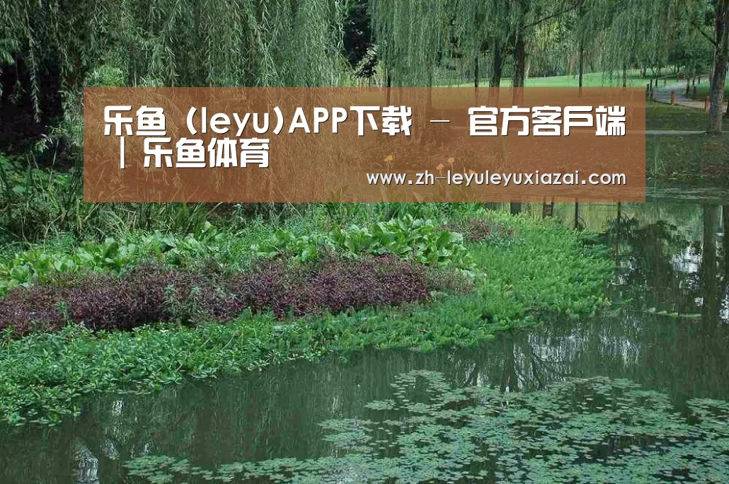 案例展示一
