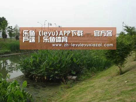案例展示四