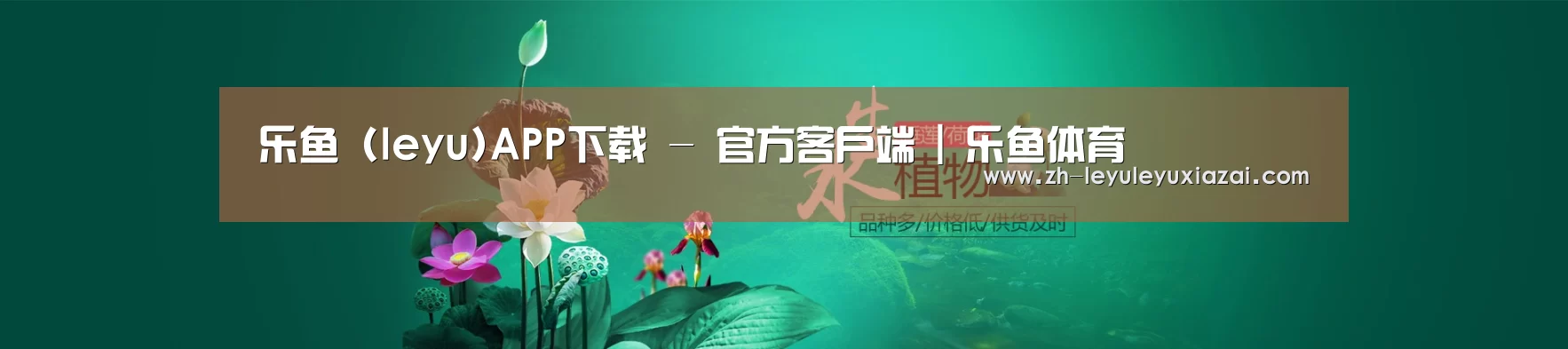 鲜花水草花卉网站模板