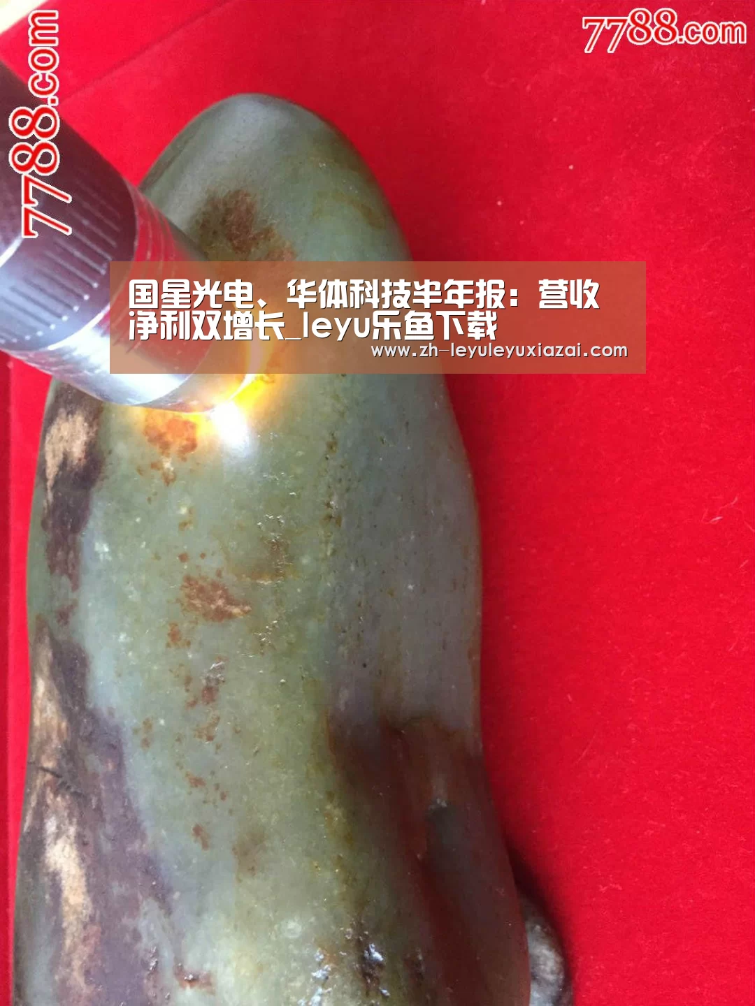 国星光电、华体科技半年报:营收净利双增长_leyu乐鱼下载(图1) leyu乐鱼下载
